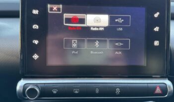 Citroen C4 Cactus pieno